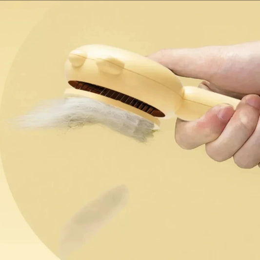 S2c2325f1531c4dd39542922d15b925389